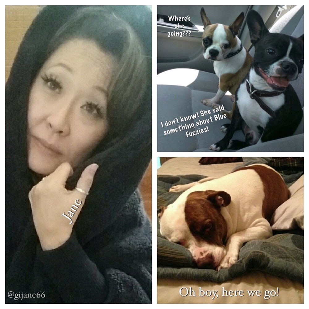 Posh Ambassador - Picture 7 of 8